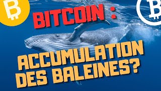 BITCOIN  LES BALEINES ACCUMULENT  ANALYSE ONCHAIN GLASSNODE VENTE DES STH AUX LTH [upl. by Ateekram]