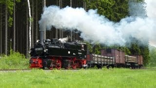 125 Jahre Schmalspurbahnen im Harz  Güterverkehr wie zu ReichsbahnZeiten [upl. by Michaeline]