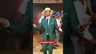 Andualem gossa habesha africanmusic abelbirhanuየወይኗልጅ oromomusic [upl. by Nalim]