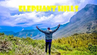 CLIMBING ELEPHANT HILLS  Aberdare Ranges  HIKING TIPS  Camping Travel Vlog [upl. by Raskind906]