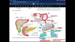 Hepatology03 Davidson  Medicine [upl. by Squires]