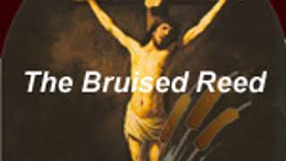 THE BRUISED REED by Richard Sibbes FULL AUDIOBOOK  Best Audiobooks [upl. by Nilhsa]