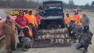 Three3 Groups of Hunters  Seven7 Different Kennels  quot80quot Rabbits Harvest  Brinkley Arkansas [upl. by Loats578]