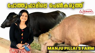 പോത്തു ഫാമിലെ പെൺകരുത്ത്  Actress Manju Pillais Farm  Pillas Farm Fresh  livestories [upl. by Llennol]