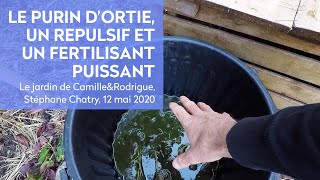 LE PURIN DORTIE un répulsif et un fertilisant PUISSANT [upl. by Einamrej]