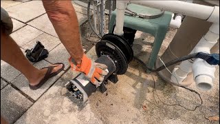 How to Remove a Century HSQ165 Pool Pump Motor from StaRite DuraGlas Housing [upl. by Katharina]