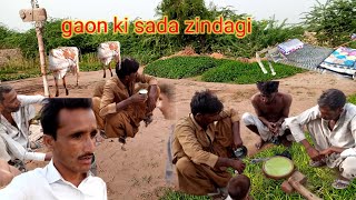 Gaon ki sada zindagi  ruralvillagelife in Pakistan  Fareed vlog 202 [upl. by Gwendolyn32]