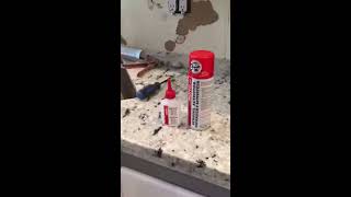 Worlds Fastest Instant wood Adhesive GlueInstant Kitchen Repair Premium wood Glue [upl. by Osmund]