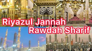 Exploring Rawdah Sharif  Riaz Ul Jannah  Garden of Paradise  Masjid Nabawi Pillars  Saudi Arabia [upl. by Nadab]