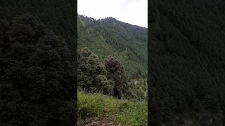 MashaAllah ❤️ viralvideo nature fypシ゚viral explore [upl. by Ainala]