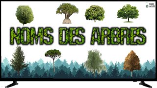 Vocabulaires  Nomes  Arbres [upl. by Benji36]