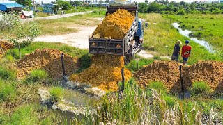 Starting New Project Landfilling by Excellent skill Driver Bulldozer KOMATSU Pushing Soil Rock [upl. by Cristiano]