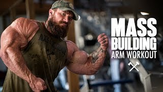 Mass Building Arm Workout [upl. by Mellisa350]