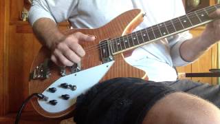 Rickenbacker 360 Clone [upl. by Harri]