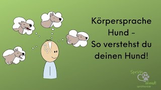 Körpersprache Hund  so verstehst du deinen Hund [upl. by Yadnil]