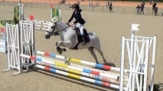 ■ 12052019  TDA LamotteBeuvron  Poney 3 Grand Prix  Azure dOman  CSO  Paloma Maitre [upl. by Recor]