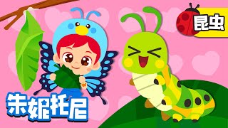 🦋😀蝴蝶的蜕变  变成美丽的蝴蝶  毛毛虫变蝴蝶  昆虫博士  Kids Song in Chinese  兒歌童謠  卡通動畫  朱妮托尼儿歌  JunyTony [upl. by Weil]