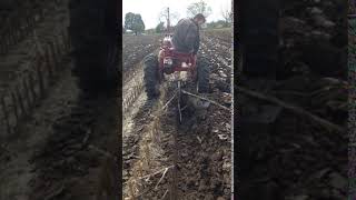 Farmall Super A Plowing with IH A189 16quot Plow Ploughing [upl. by Nagaer]