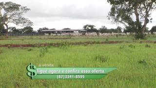 Fazenda à venda em Campo Grande MS com 570 hectares [upl. by Eisenstark]