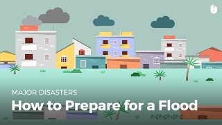 How to Prepare for a Flood  Disasters [upl. by Esenaj832]