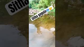 siripadetravelsithagagulacoolsrilankanaturevibestiktok tiktok automobileshortshortvideo [upl. by Eillil]