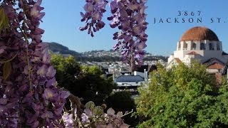 SF Properties presents 3867 Jackson St San Francisco CA [upl. by Theola]