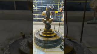 Om Namah Shivaye Song Status 🙏🙏💅💅 shorts ytshorts devotional [upl. by Ydospahr617]