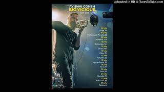 Avishai Cohen  Big vicious  Nice Jazz festival track 5 [upl. by Oinesra]