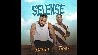 Iceboy IBM Selense Feat Payseen [upl. by Elnukeda215]