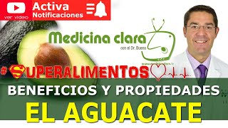 AGUACATE 🥑 BENEFICIOS 💖 PROPIEDADES del Aguacate ¿Fruta fruto o verdura  Medicina Clara [upl. by Carlo]