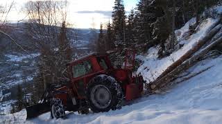 Massey Ferguson 590 4 [upl. by Orfinger]