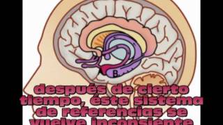 Marketing  El boton del Reptil  Cerebro Reptil [upl. by Enymzaj426]