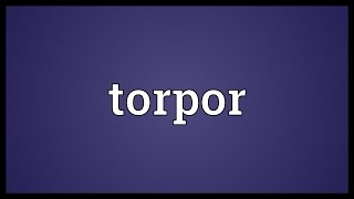 Torpor Meaning [upl. by Hopfinger]