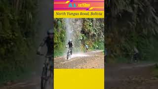 North Yungas Road Bolivia  shorts youtubeshorts ytshorts factshorts deathroad a1factstory [upl. by Enirak42]