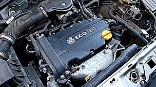 Vauxhall  Opel Corsa C 12L Petrol Startup and Idle Z12XE HD [upl. by Marozik]