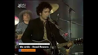 Andrés Calamaro  Me ardeDead flowers Círculo de Bellas Artes de Madrid 1999 [upl. by Ogilvie]