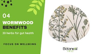 Wormwood health benefits and how to use [upl. by Cheney324]