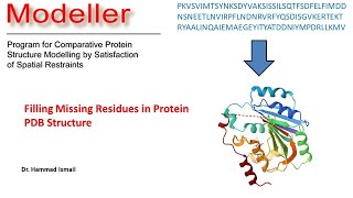 Missing Residue Filling Protein PDB  Modeller  Homology Modelling  Bioinformatics  Urdu  Hindi [upl. by Zoilla]