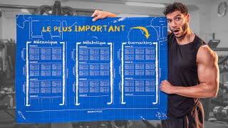 Comment créer son programme de musculation débutants [upl. by Nyrrat331]