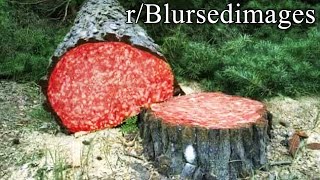 rBlursedimages  trees are filled with meat [upl. by Colligan]