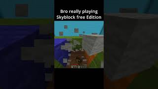 Minecraft Skyblock Free Edition [upl. by Loria]