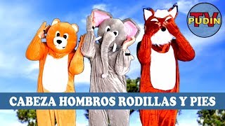 Cabeza Hombros Rodillas y Pies  Canciones infantiles [upl. by Dicks742]