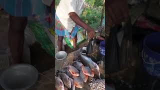 Mo gan re Fish market bangalore food odisha [upl. by Oad]