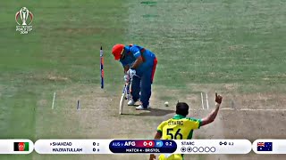 All Wickets Of Mitchell Starc 201924 [upl. by Amzu]