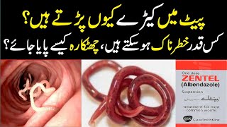 zentel syrup uses in urdu  zentel syrup for baby  zental syrup  zentel syrup kaise use karen [upl. by Endys]