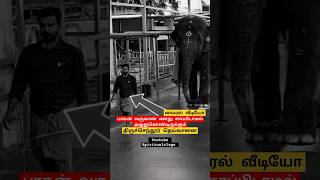 சாப்பிடாமல் அழுதுகொண்டிருக்கும்🥺🥺திருச்செந்தூர் தெய்வானை tiruchendur thiruchendur trending news [upl. by Niveb]