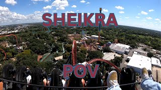 SheiKra POV At Busch Gardens Tampa Bay [upl. by Ailehc]