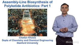 Chaitan Khosla Stanford Part 1 An Introduction to Polyketide Assembly Lines [upl. by Seton726]