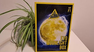 Evo moonlight Box F1 Sortiment [upl. by Atinar]