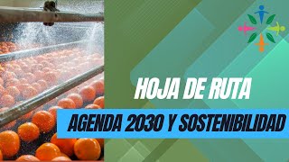 Hoja de ruta acelerador Agenda2030 Producción y consumo Sostenible [upl. by Rihsab490]